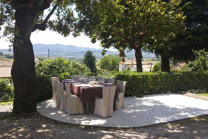 Premium Prosecco Hills Winery Tour with Prosecco Tastings & Food - Prosecco DOCG and the no-added-sulfites detail: what to watch for