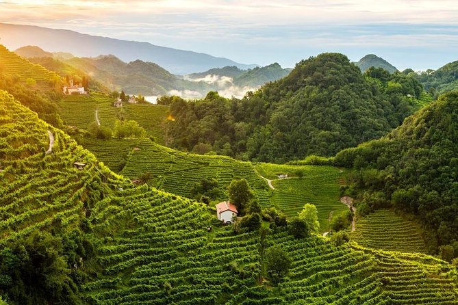 Premium Prosecco Hills Winery Tour with Prosecco Tastings & Food - Price and logistics: is $247.39 good value for a 5-hour day?