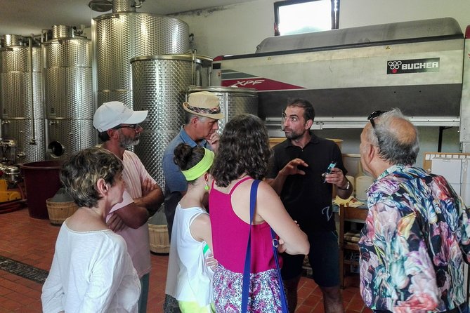 Premium Prosecco Hills Winery Tour with Prosecco Tastings & Food - Who this tour fits best (and who may want a different plan)