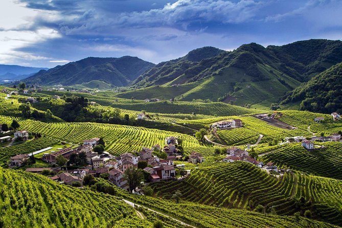 Premium Prosecco Hills Winery Tour with Prosecco Tastings & Food - Conegliano winery time with the owner and 4 DOCG pours