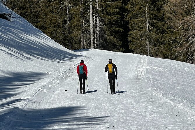 Private Dolomites Winter Day Tour from Venice - Stop 2: Tre Cime di Lavaredo with snowmobile (extra) or a winter walk