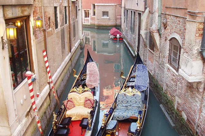 Private Full Day Tour from Milan to Venice with local tour guide and fast train - Doge’s Palace: big exterior time, paid entry if you want inside