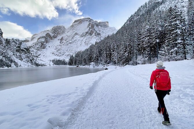 Private Guided Tour in the Dolomites from Venice - Private van comfort and timing (why this isn’t just transportation)