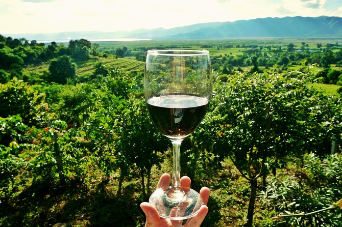 Private Half Day Wine Tasting tour: Road Of The Doges - Key things to know before you go