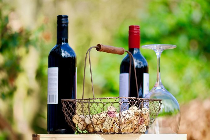 Private Half Day Wine Tasting tour: Road Of The Doges - Arrival at a 17th-century villa winery: what the grounds deliver
