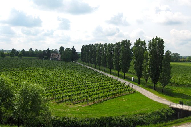 Private Half Day Wine Tasting tour: Road Of The Doges - One winery or more? Setting expectations so you don’t feel shortchanged