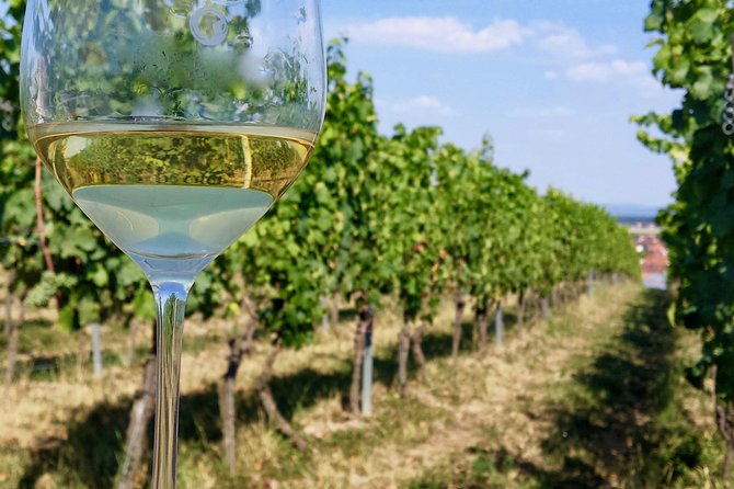 Private Half Day Wine Tasting tour: Road Of The Doges - Group size and comfort: the good and the occasional weird