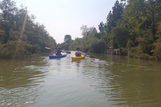 Private Kayak Tour in the Venetian Lagoon - Burano, Mazzorbo, and Torcello: the lagoon’s different moods