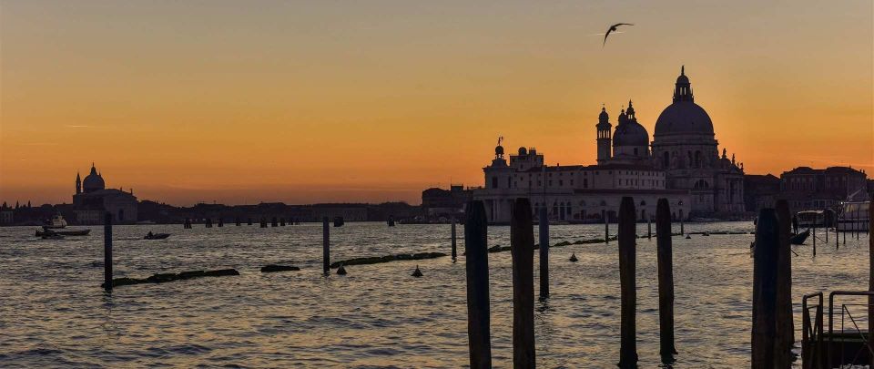 Private Tour: Food and Wine Tour in Venice - A one-hour Venetian cicchetti circuit with a private guide