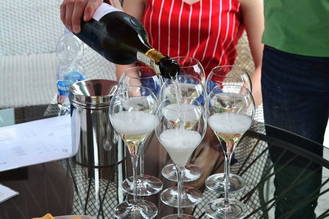 Private Tour: Prosecco Wine Tasting Day Trip with Lunch from Venice - Key highlights that matter