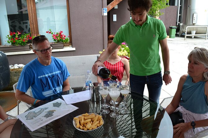 Private Tour: Prosecco Wine Tasting Day Trip with Lunch from Venice - Small private group feel (max 8): how that changes your day