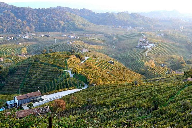 Private Tour: Prosecco Wine Tasting Day Trip with Lunch from Venice - Price and value: is $480.59 per person worth it?