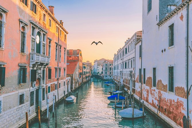 Private Tour: Venice Art and Architecture Walking Tour - How your guide turns stones into stories (and answers your questions)