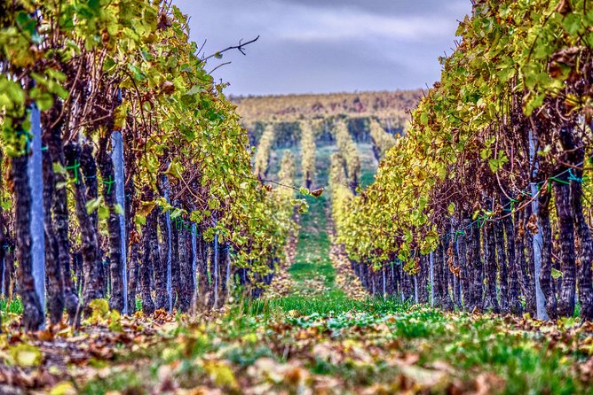 Private Valpolicella Day Trip from Venice: Wine Tasting and Verona - Exiting Venice early: the “scenic drive” part actually matters