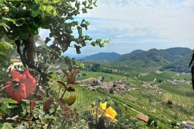 Prosecco Hills Day Trip from Venice & Treviso: 2 Wineries - Comfort and timing: what the 10-hour format really means