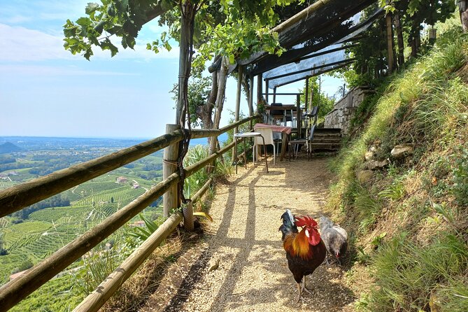 Prosecco Hills Day Trip from Venice & Treviso: 2 Wineries - Conegliano free time: walls, palaces, churches, and a café reset