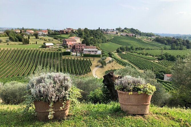 Prosecco Hills Wine and Cheese Gourmet Discovery - Eight Prosecco Tastings Plus Food: How to Enjoy It Without Getting Overwhelmed