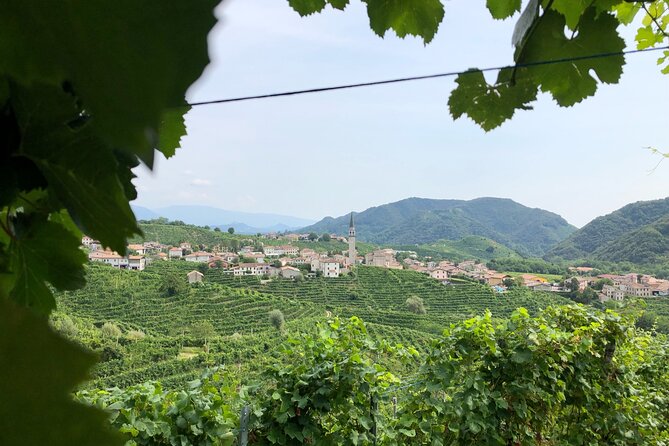 Prosecco Hills Wine and Cheese Gourmet Discovery - Price and Value: What $165.61 Buys You (and Why It’s Not Just a Pour-and-Go)