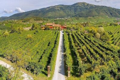Prosecco Wine Tasting and visit Treviso from Venice - The tasting flight and buying bottles like a local