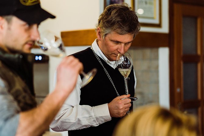 Prosecco Wine Tour (all-inclusive full day with lunch and expert wine guide) - Leaving Venice at 9:30am for Real Prosecco Hills