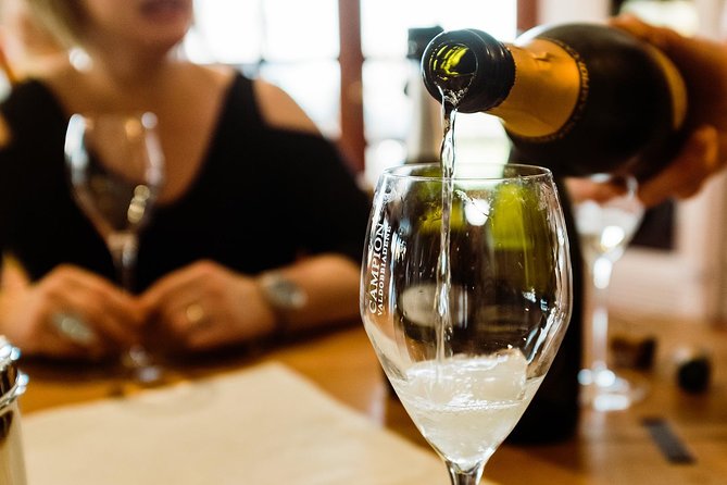 Prosecco Wine Tour (all-inclusive full day with lunch and expert wine guide) - Mario the Guide: English Wine Coaching That Actually Helps