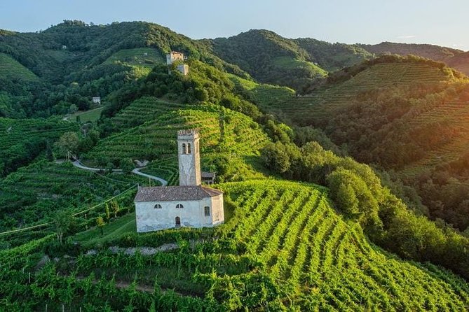 Prosecco Wine Tour. Full day from Venice - Stop One: A Family Vineyard with Snacks and a Prosecco Flight