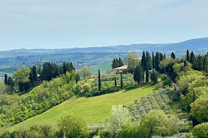 Prosecco Wine Tour. Full day from Venice - Stop Two: Another Winery Stop Where You Compare and Decide