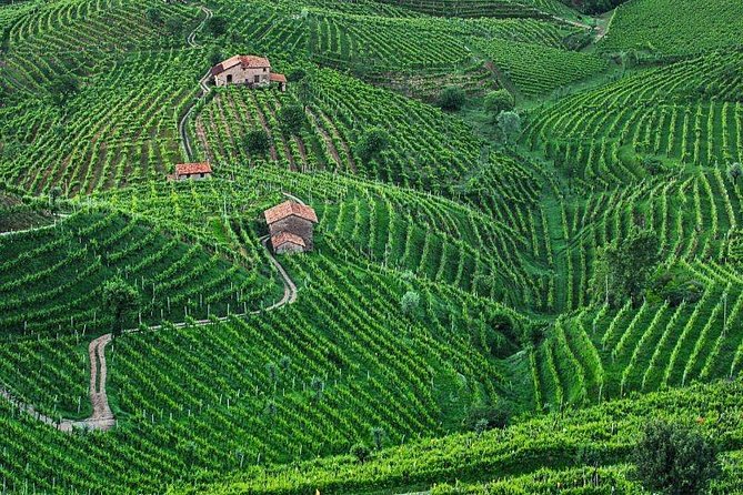 Prosecco Wine Tour. Full day from Venice - Touring the Hills: Towns Like San Pietro di Feletto, Refrontolo, and More