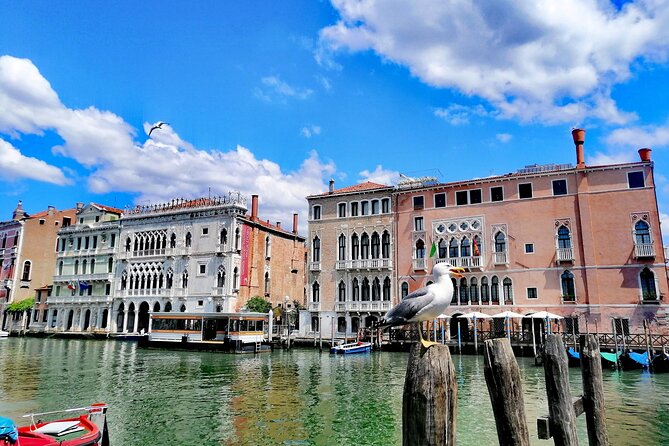 Rialto Market & Seafood Cooking Class in Murano - Drinks and the pacing of a 3-hour experience