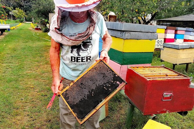 Sant’Erasmo Bike Tour in Venice’s Green Island - Isola di Sant’Erasmo: Honey From a Small Family Apiary