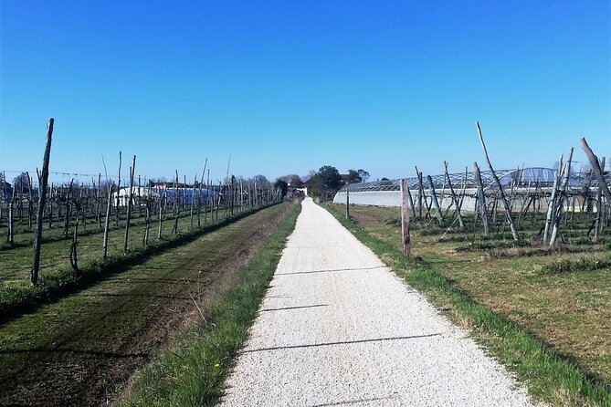 Sant’Erasmo Bike Tour in Venice’s Green Island - Northern Views: Burano Hints and San Francesco del Deserto From Across the Water
