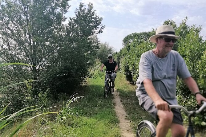 Sant’Erasmo Bike Tour in Venice’s Green Island - Price and Value: What $203.06 Covers (And Why It’s Not Just a Bike Rental)