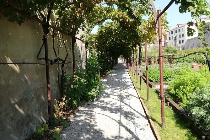 Secret Gardens of Venice Walking Tour - Stop 1: Cannaregio’s nun community garden (fruit trees and pergolas)