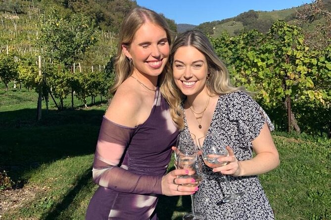 Small Group Prosecco Experience from Venice - Boutique Winery - Price and Value: Why $169 Can Actually Feel Fair