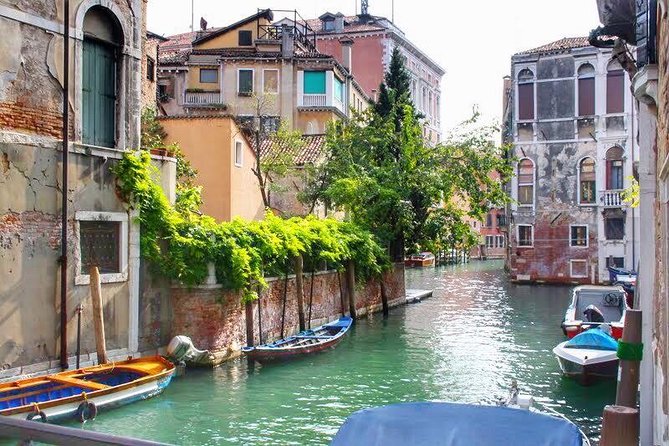 Tasty Street Food Tour of Venice City Center with Cicchetti & Local Specialties - What’s Included (and What You’ll Pay For On Your Own)