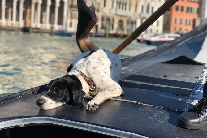 The Secrets of Venice - Private Tour - Rialto markets and the commercial engine of the city