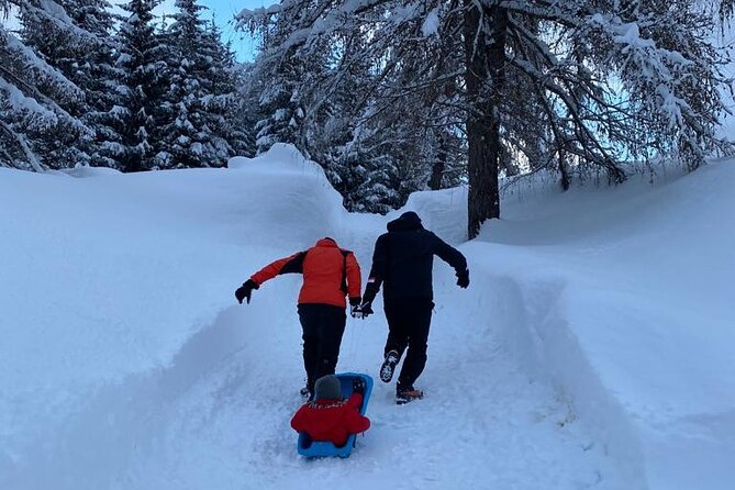 UNESCO Dolomites great expedition from Venice by Yellowboot - Belluno Dolomites lunch at a mountain chalet (and how to handle not-included food)