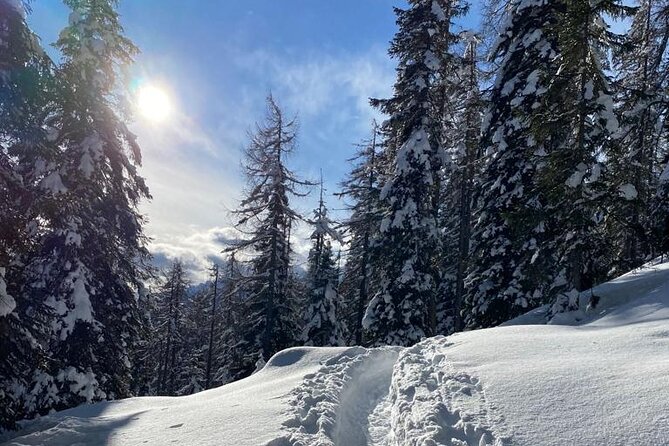 UNESCO Dolomites great expedition from Venice by Yellowboot - Price and value: what $290.23 buys you (and what it doesn’t)