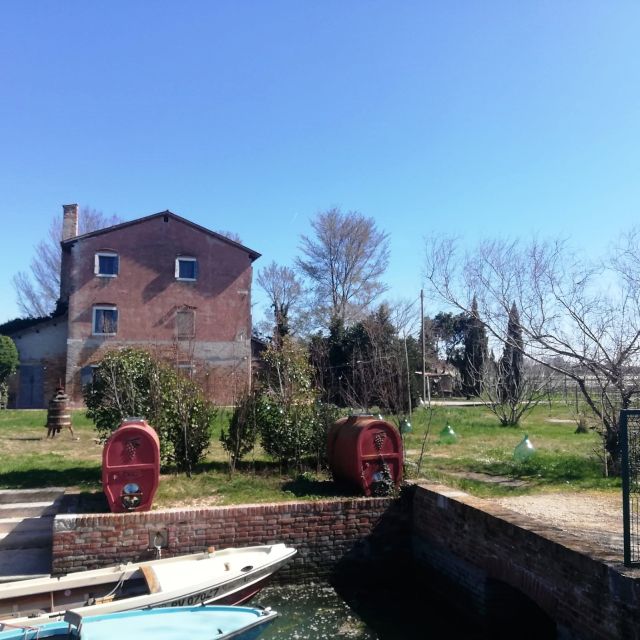 Venice: Bike Tour Honey & artichockes on Sant’Erasmo Island - Cycling between saltmarshes and purple artichokes