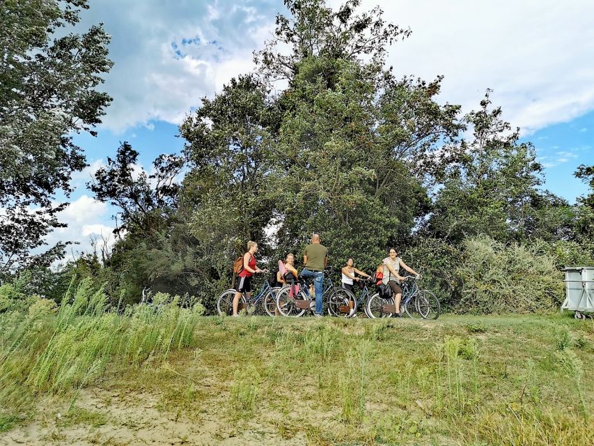 Venice: Bike Tour Honey & artichockes on Sant’Erasmo Island - Timing, comfort, and what to bring for 4 hours in the sun