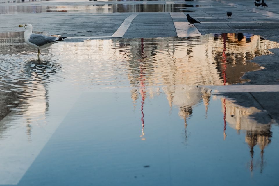 Venice: City Tour and Murano Glass Experience - Price and value: is $711.42 per group a smart deal?