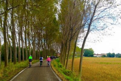 Venice Countryside Bike Tour - La Malcontenta: Villa Foscari Views by Palladio