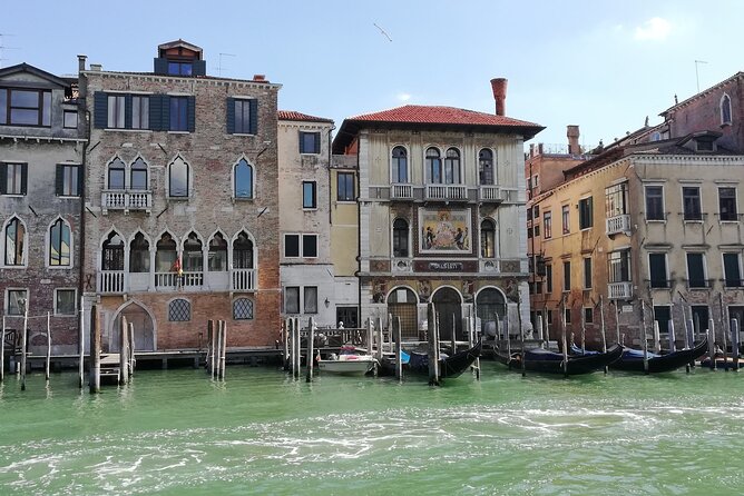 VENICE in 1 Day WOW Tour: city walk, Murano, Burano with lunch! - Price and logistics: what you’re really paying for at $416.95