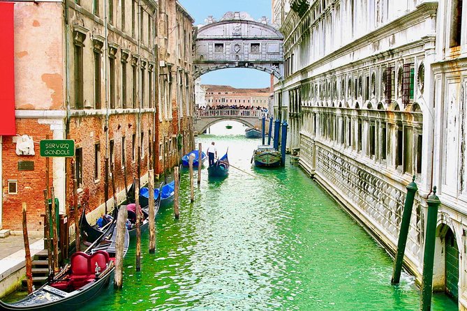 Venice in a Day: The Main Highlights of the City - St. Mark’s Basilica: gold mosaics with real dress-code rules
