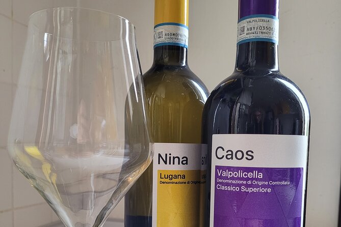 Venice like a local: Vini and Cichetti at Liuba and Hugo's home - A Venetian Night That Doesn’t Feel Like a Performance