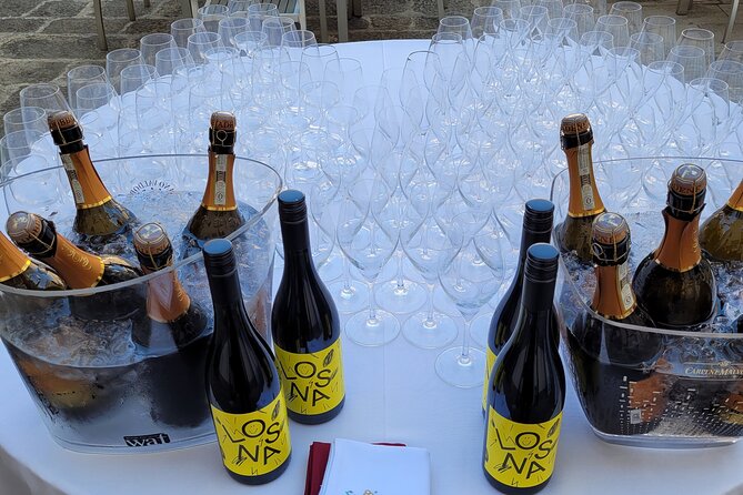 Venice like a local: Vini and Cichetti at Liuba and Hugo's home - Who This Experience Fits Best