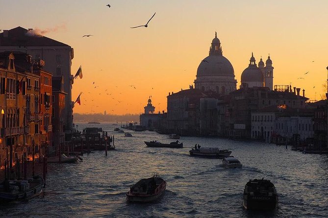 Venice Marco Polo Airport Private Arrival Transfer via Motorboat - From Marco Polo to Venice’s canals, without the scramble