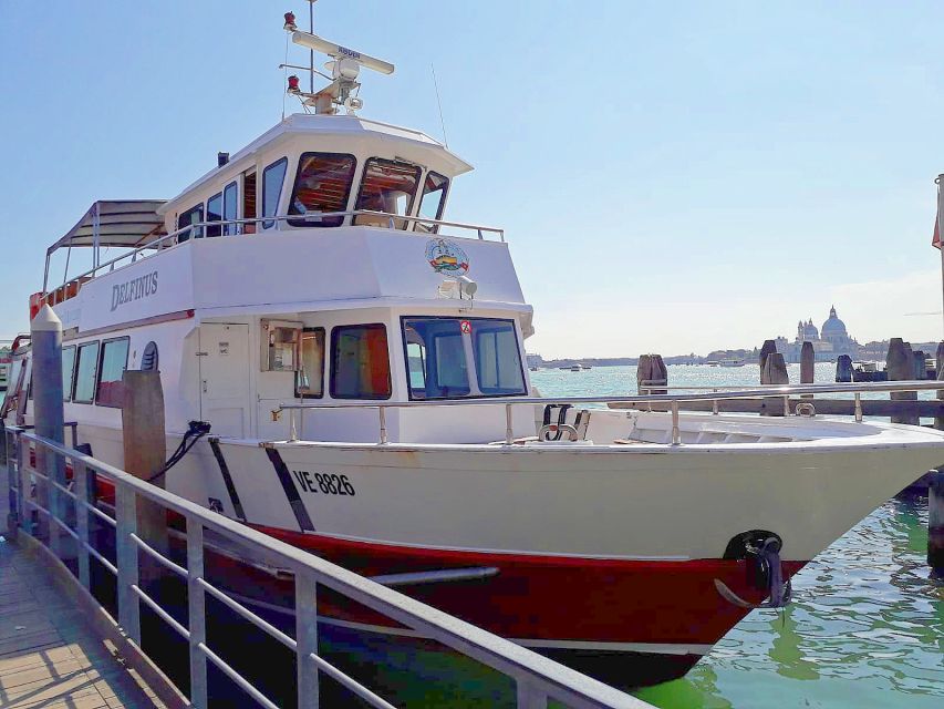 Venice: Murano & Burano Panoramic Boat Tour w/ Glassblowing - The boat experience: comfort, seating choices, and the narration setup