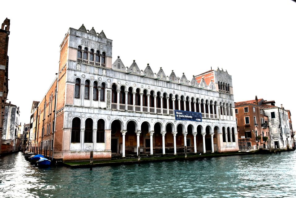 Venice: Natural History Museum Entry Ticket - Where your money goes: the museum’s 2 million objects and how they’re presented