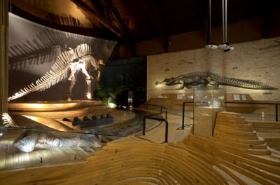 Venice: Natural History Museum Entry Ticket - Price and timing: how to plan around opening hours and the Venice Access Fee